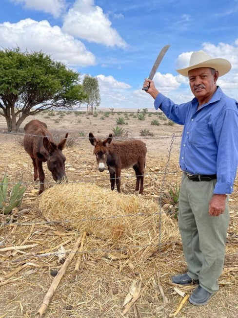 Obituary of Juan Arrona Palacio