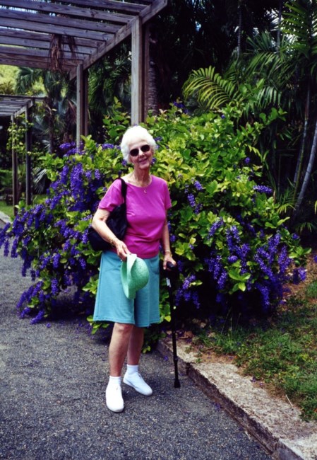 Carol Rosenbloom Obituary Winter Haven Fl