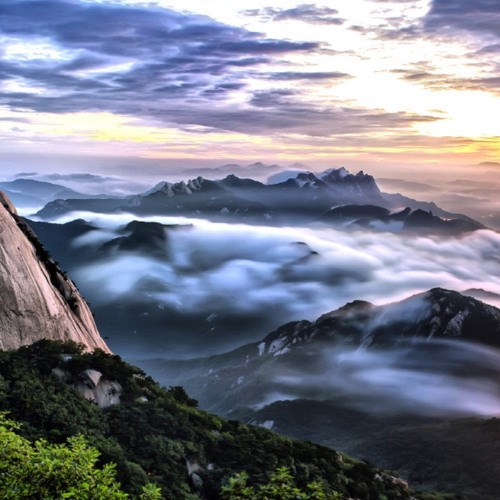 Obituary of Wendy Beryl Grant