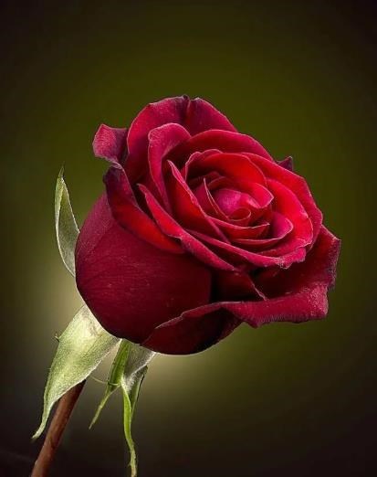 Obituary of Angelyn  Davidson Taunton