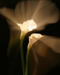 Obituary of Kathleen M. Smith