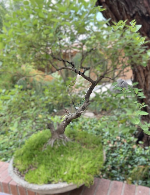 Avis de décès de Anne Eleanor Spiett