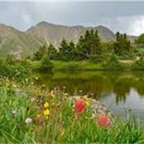 Obituary of David Joseph Herrera