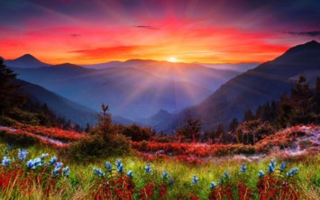 Obituary of Barbara J. Tefft