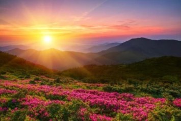 Obituary of Wai Hung Yip