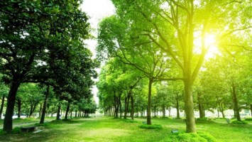 Obituary of Arthur Rasmussen