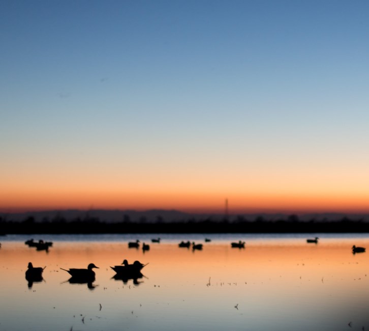 Obituary of Walter Vencliffe Swanson III