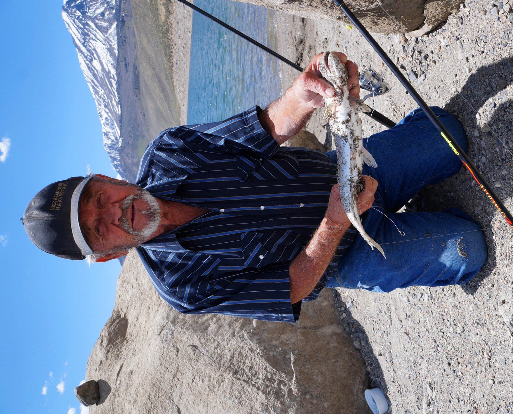 Obituary of Willie Ross Dobbs