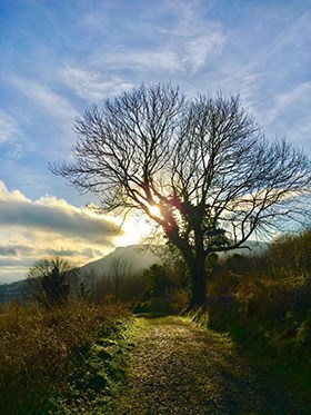 Avis de décès de Rodney Eugene Greene