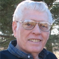 Obituary of Delmar Leroy Stolte