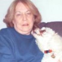 Obituary of Judith Ann Stern