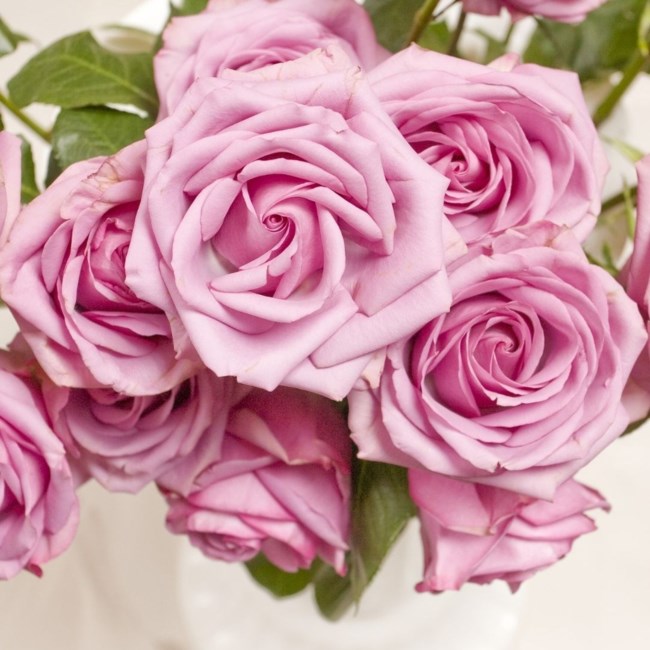 Obituary of Hui Ping Zhang