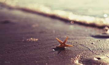 Obituary of David Roland Kimball