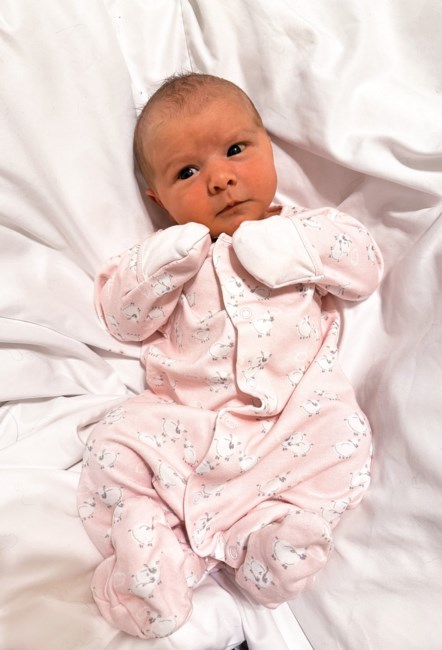 Obituary of Anne Michael Reagan