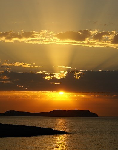 Obituario de Mary Susan Hughes