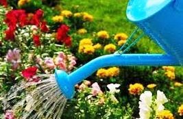 Obituary of Callie Mae Haskins