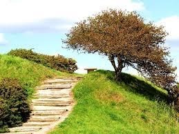 Avis de décès de Mateo Jayden Luna