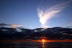 Obituary of Sharon Chase Hedrick