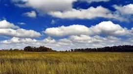 Obituary of Daniel Franklin Eberle