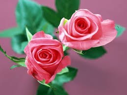 Obituary of Jane Maglione