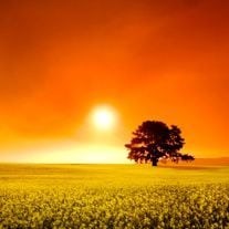 Obituary of Haden Richard DeRoberts
