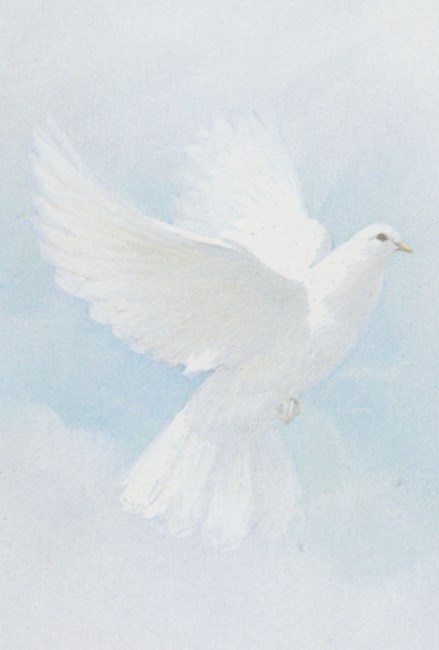 Obituary of Carlos Loera