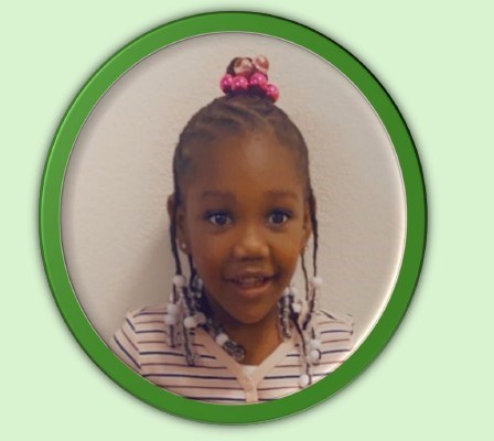 Obituary of Paisley Sage Lewis