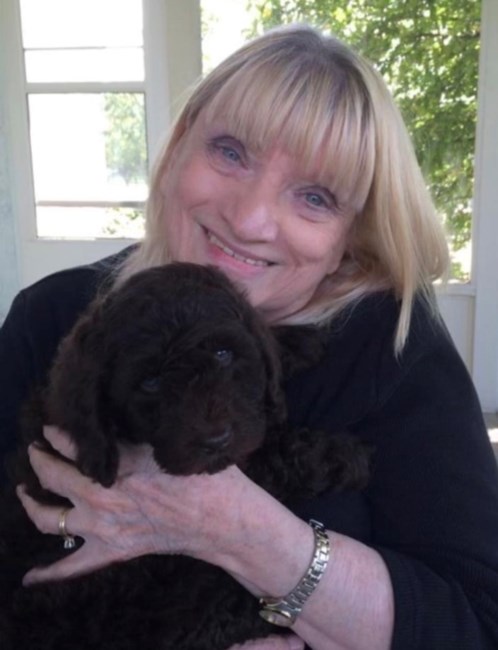 Obituary of Diana Morse