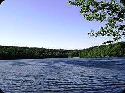 Obituary of Edward R. Cushman