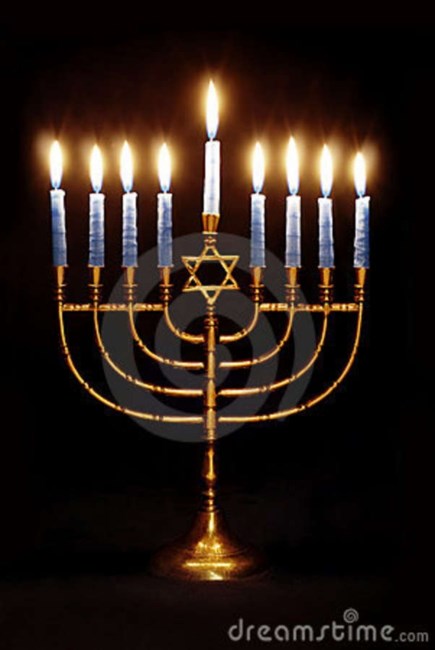 Obituary of Francine Cohen