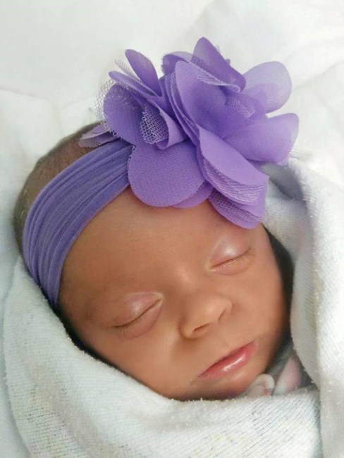 Obituary of Gemma Laine Bradley Van Brocklin