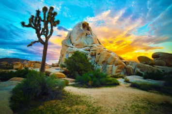 Obituary of Douglas Reynolds Hoppin