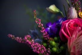 Obituary of Aquaria Ann Hernandez