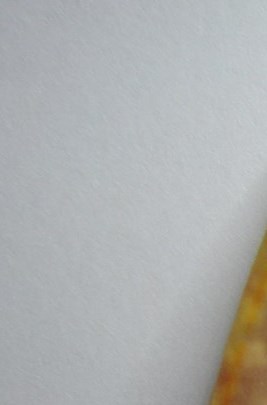 Lisa Gibbs Obituary - Knoxville, TN