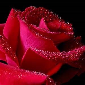 Obituary of Flora Campbell Downey