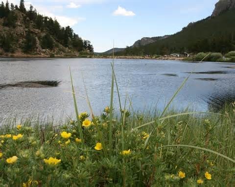 Avis de décès de Geneva Smith-Williams