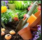 Obituary of Sandra Louise Cox