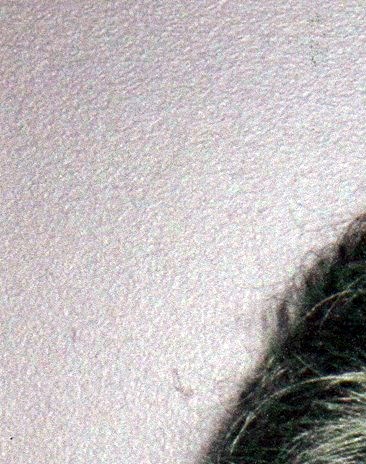 Emily Simmons Obituary Staunton VA emily-simmons-obituary-staunton-va