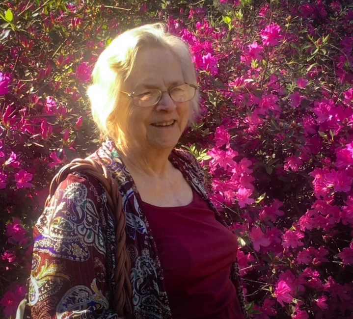 Obituary of Jeanette Castello