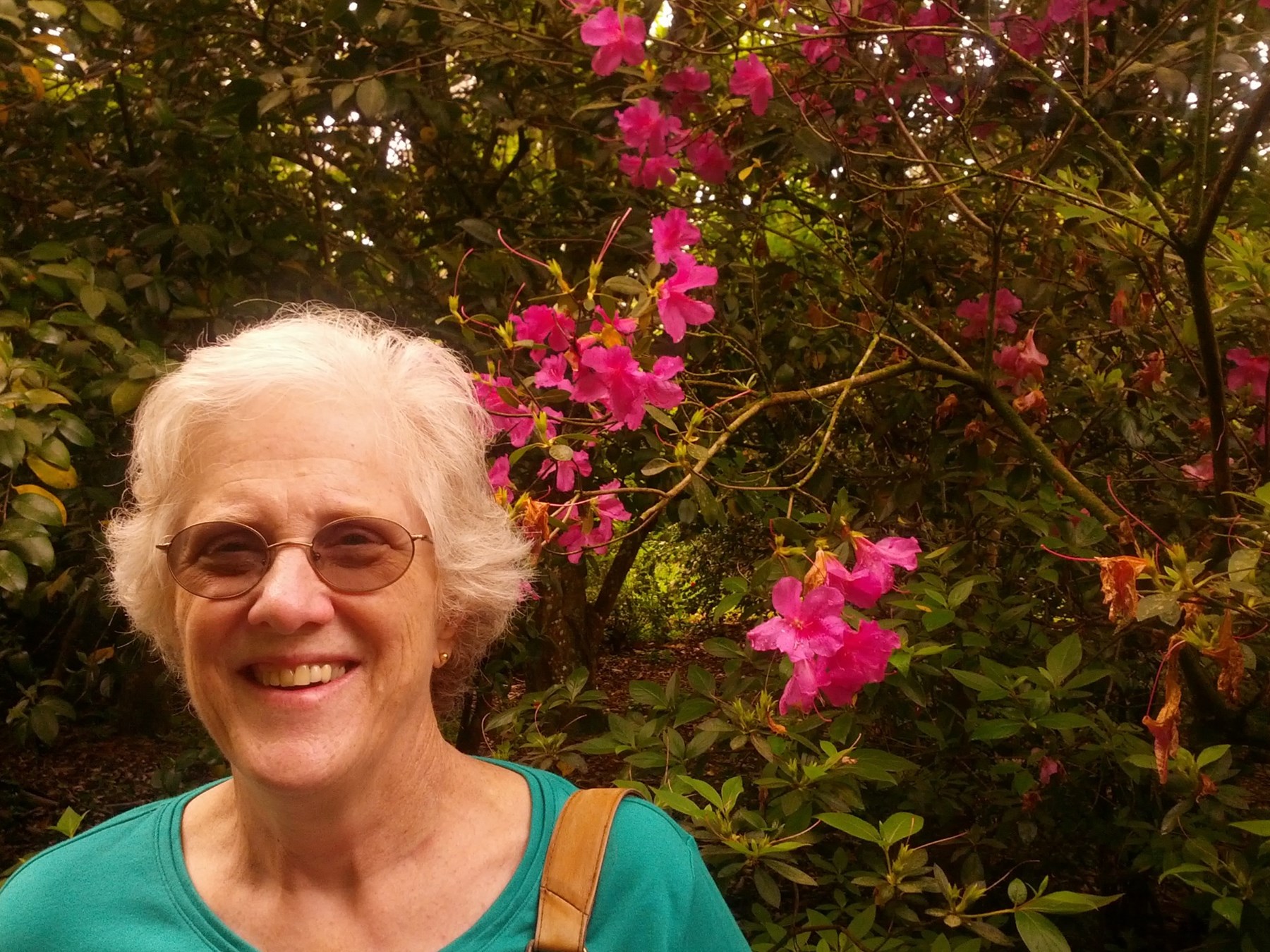 Obituary of Kathleen Ann Beleckis