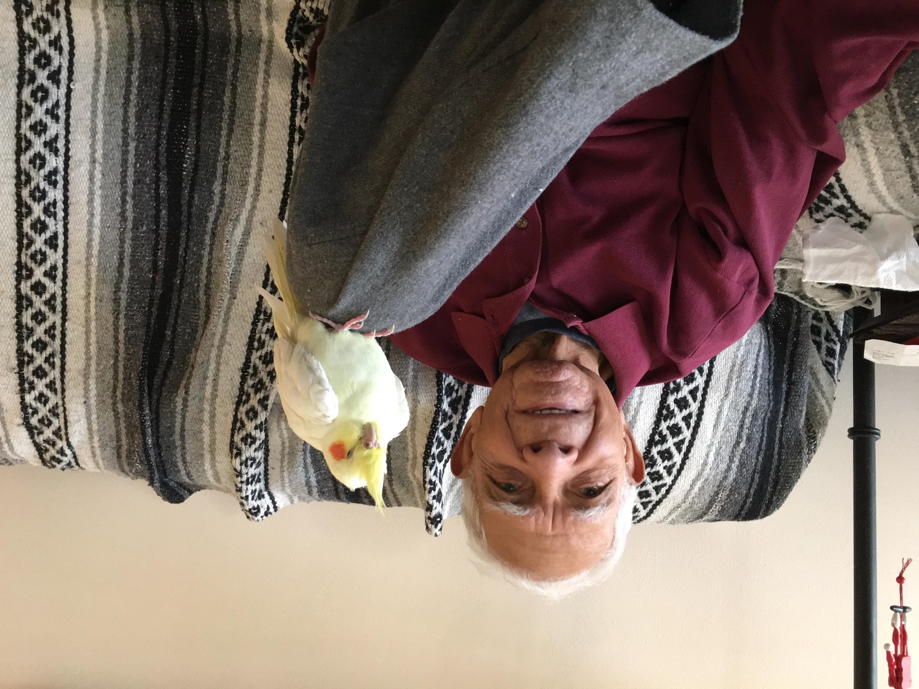 Obituary of Francisco Collazo