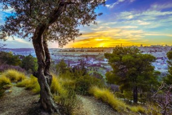 Obituary of David Sands Wolpert