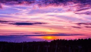 Obituary of Hugh Grayson Shearer Jr.