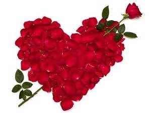 Obituary of Rosalva Luna Saiz