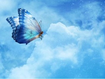 Obituary of Joseph Nico Cure