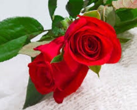 Obituary of Patty Wiggins Brock