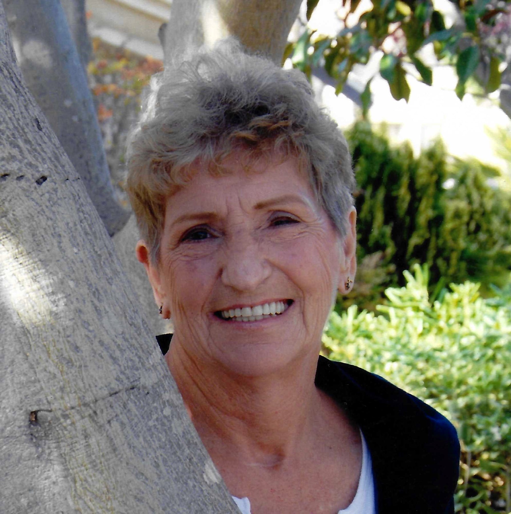 Lush Carol J. Lacaprucia Obituary May 1, 2026 Capture Concept