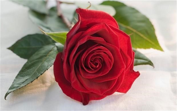 Leon Manus Obituary Nashua Nh Leon Manus Obituary Nashua Nh