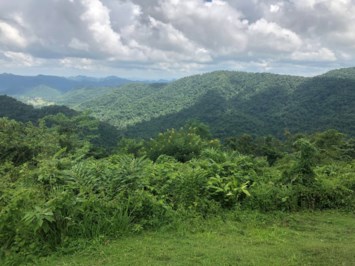 Obituary of Carlos Walberto Hernandez Barahona