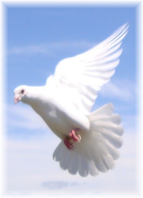 Obituary of Stella Marie Gallagher